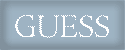 guess-eyeglasses-sunglasses